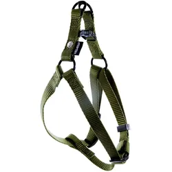 Martin Sellier Clas (L, Hund, Spazieren), Halsband + Leine
