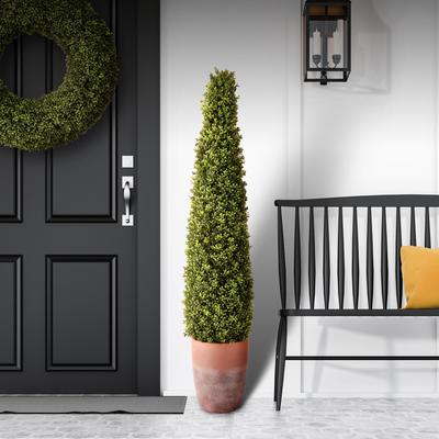 Regency International "Spring Boxwood In Pot 60"""