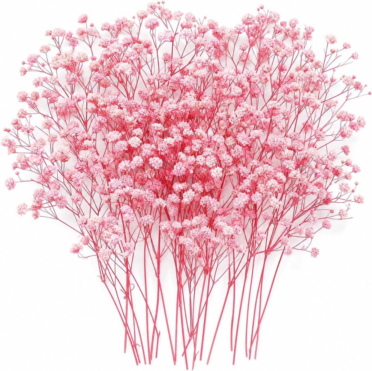 Gedroogde Roze Gypsophila Mini Geperste Bloemen voor Knutselen en Huisdecoratie