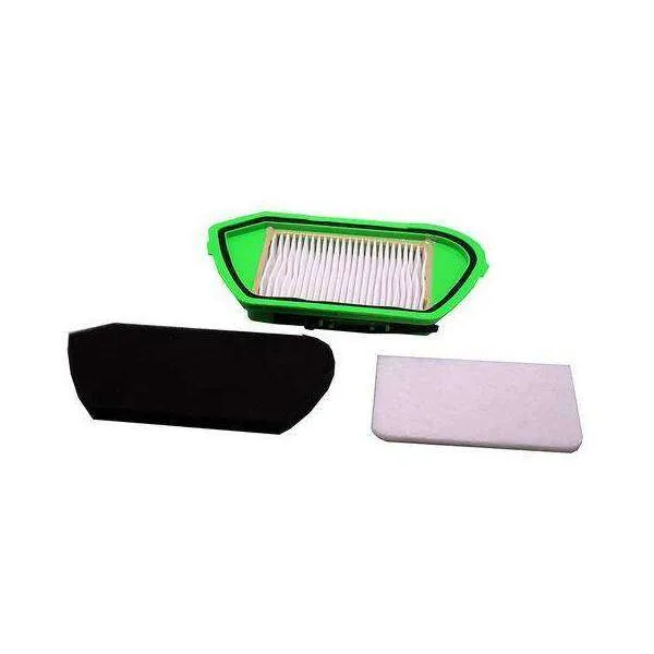 Set de Filtros Aspirador ROWENTA Compacteo Ergo Cyclonic