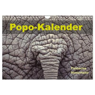 Popo-Kalender (Wandkalender 2027 DIN A4 quer), CALVENDO Monatskalender