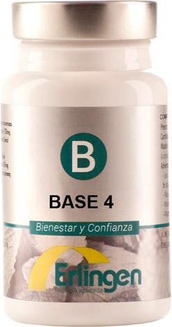 Erlingen Base 4 60comp