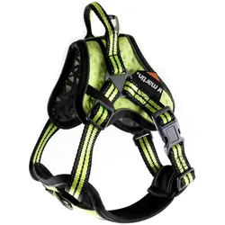 Arka DOG HARNESS YELLOW X8812456 (XL, Hund, Allgemein, Hundesport, Spazieren), Halsband + Leine