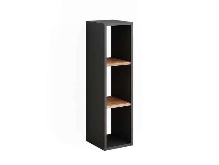 Armoire à chaussures anthracite/chêne doré 21.6x80.1cm
