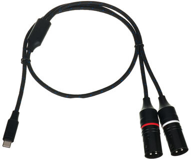 DAP Audio FL115 USB-C to 2x XLR/M 0.75m Schwarz