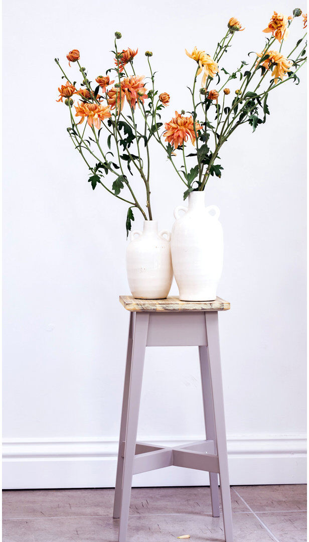 Ophelia & Co. Decatur Solid Wood Pine Plant Stand 2 Tier Truffle H50 x L24 x D24cm