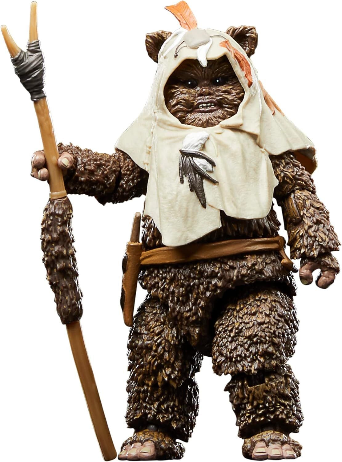 Hasbro Star Wars The Black Series Paploo meerkleurig