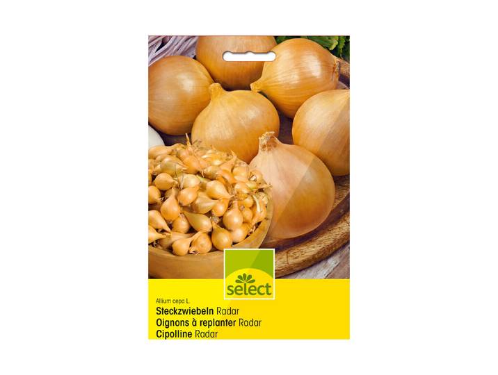 Select Steckzwiebel Radar 250 g