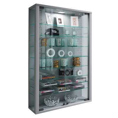 Wandregal VCM "Wandvitrine Hängevitrine Glasvitrine Vitrosa Mini", silber, B:59cm T:18cm, Regale, Wandregal