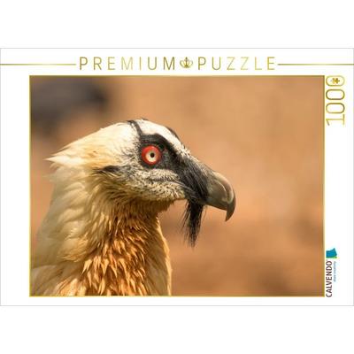 CALVENDO Puzzle Bartgeier im Porträt | 1000 Teile Lege-Größe 64x48cm Foto-Puzzle für glückliche Stunden