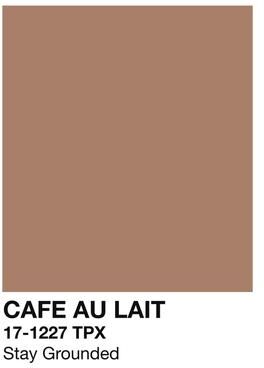 Uplift Essentials Caffeinated Narrative Canvas High Definition Skeleton Line Art Architectural Art style 3 7.8 In X 11.8 In