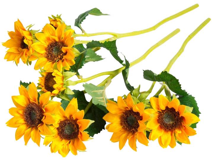 Kunstblume BOTANIC-HAUS Sonnenblume , gelb, B:12cm H:38cm T:12cm Ø:12cm, Kunststoff, Kunstpflanzen, Kunstblume