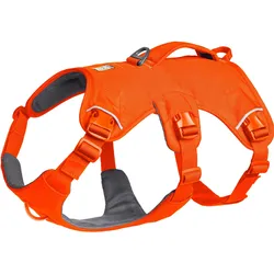 Szelki dla psa Ruffwear Web Master Harness - blaze orange rozmiar: xs (XS, Hund), Halsband + Leine
