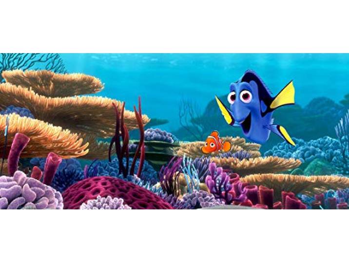 AG Design – Papiers Peints – Le Monde de Némo Disney – Tapisserie Photo – Poster Photo Géant – 202 x 90 cm – FTDNH 5379