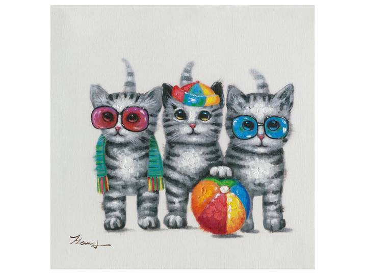 Bild Katzen Trio image LAND