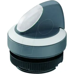 RAFI 39.45.49 - FS+ 22 - Wahlschalter - rund, metall, 1x90°, Form V, bel