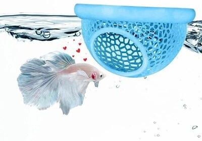 Uplift Essentials Aquarium Floating Cave And Feeding Ring 3 in 1 Shelter For Betta And Shrimp l blue