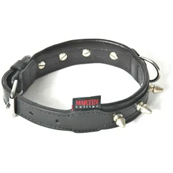 Martin Sellier Nieten-Hundehalsband aus Rindsleder (35, Hund, Spazieren), Halsband + Leine
