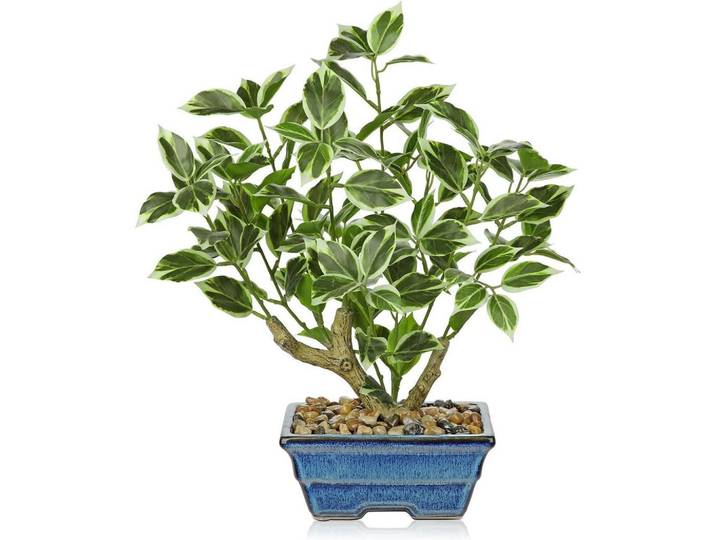 Kunstpflanze Ficus 39 cm Blau, Kunststoff, 39 cm, Dekoration, Blumen & Blumentöpfe, Kunstpflanzen
