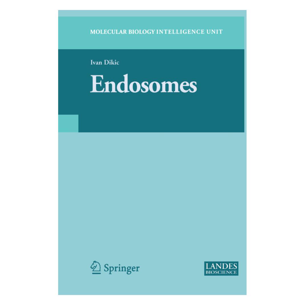Springer Endosomes (Englisch, Softcover, Ivan Dikic) (55383285)