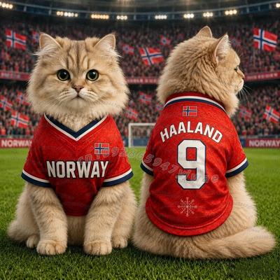 Fusion Finds Dog Soccer Jersey For Large Dogs & Cats Breathable Pet Football Jersey a m