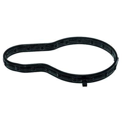 FACET Dichtung, Thermostat 79734
