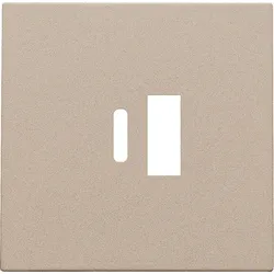 Niko Züblin 157-68002 Abdeckung für intelligentes Zweifach USB A und USB C Ladegerät, champa 15768002
