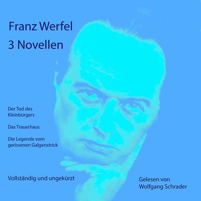 3 Novellen - Franz Werfel, Audio, 9783986460044