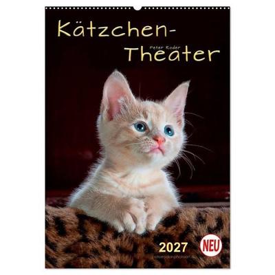 Kätzchen - Theater (Wandkalender 2027 DIN A2 hoch), CALVENDO Monatskalender