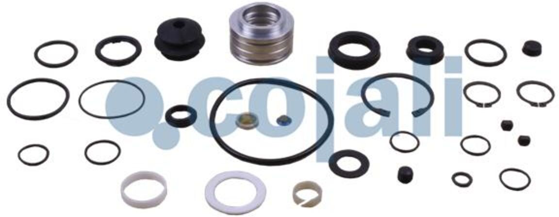 Cojali Kit di riparazione, booster frizione 6012231