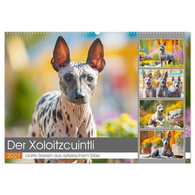 Der Xoloitzcuintli. Uralte Seelen aus aztekischem Erbe (Wandkalender 2027 DIN A2 quer), CALVENDO Monatskalender