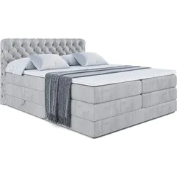 BOXSPRINGBETT BOXI8 KING - 200x200 - H3/H4 - Hellgrau