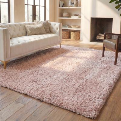 SAFAVIEH Rainbow Alvisa Shag Rug