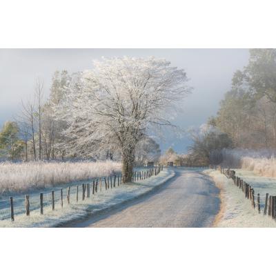 Fototapete PAPERMOON "Photo-Art CHRIS MOORE, EIN FROSTIGER MORGEN", bunt, B:3,5m L:2,6m, Vlies, Tapeten