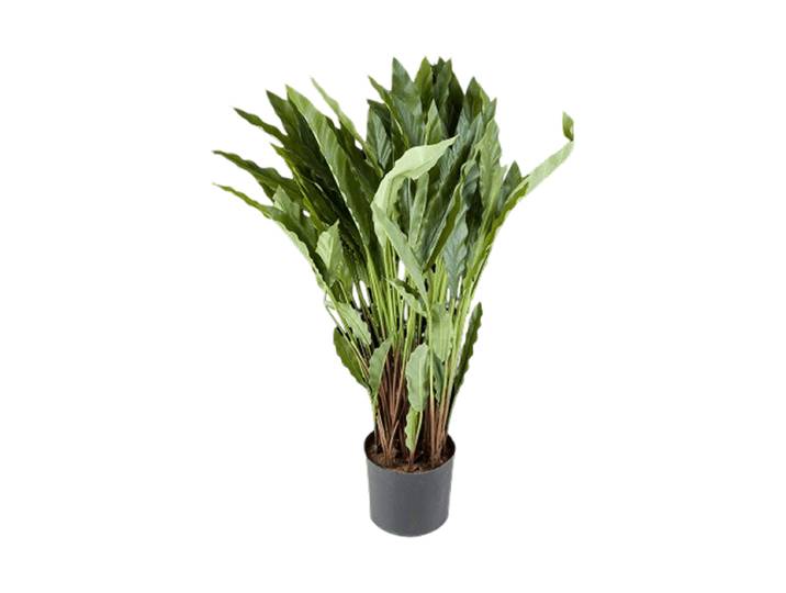 Lebensechte Kunstpflanze „Calathea Tuff“ Ø 60/ Höhe 84 cm Grün Baq Design