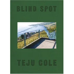 Blind Spot, Belletristik von Teju Cole