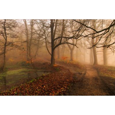 Papermoon "Photo-Art LEIF LONDAL, WELCHEN WEG II"
