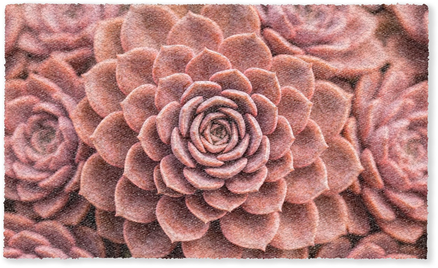 MuchoWow Deurmat Vetplant Organisch - Roze - 150 x 90 cm