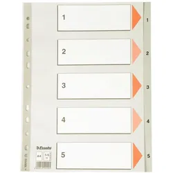 Leitz, Ordner Zubehör, Register