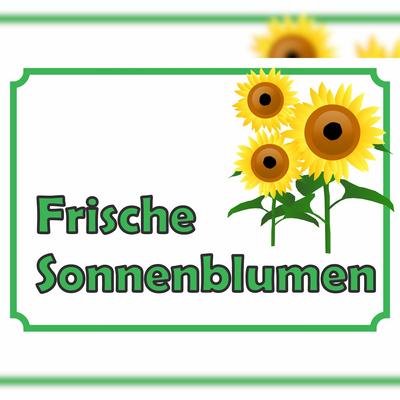 HB-Druck Sonnenblumen Verkaufsschild Hofladen Verkaufsförderung A5 (148x210mm)