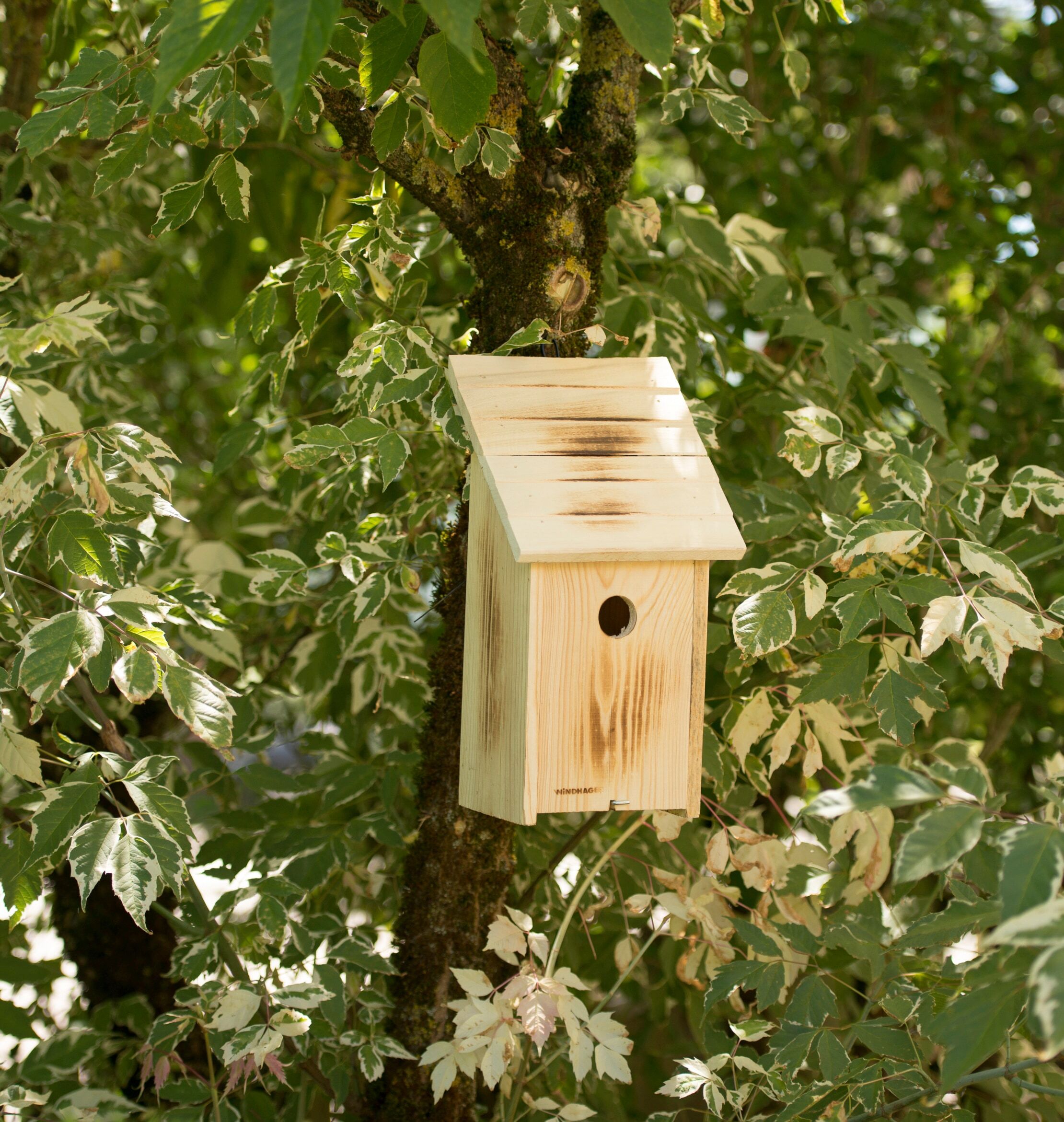 Nistkasten WINDHAGER "aus massivem Pappelholz, sicherer Brutplatz für Vögel", braun (holzfarben), B:18cm H:33,5cm T:18cm, Massivholz, Tierhäuser, Brutquartier einfach zu reinigen, inkl. Aufhängung
