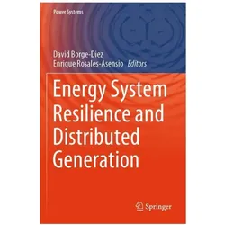 Energy System Resilience and Distributed Generation, Fachbücher von David Borge-Diez, Enrique Rosales-Asensio