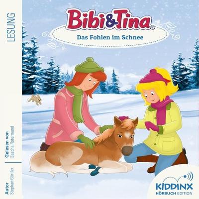 Das Fohlen im Schnee - Stephan Gürtler, Audio, 4033694231210