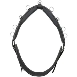 Kieffer Longiergurt Essentials Circle - schwarz - Warmblut