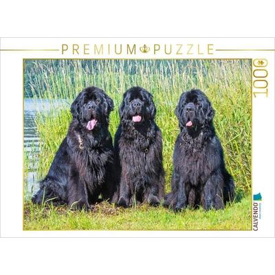 CALVENDO Puzzle Drei Prachtrüden | 1000 Teile Lege-Größe 64x48cm Foto-Puzzle für glückliche Stunden