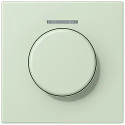 Jung Abdeckung mit Lichtleiter LC 1940 KO5 218
