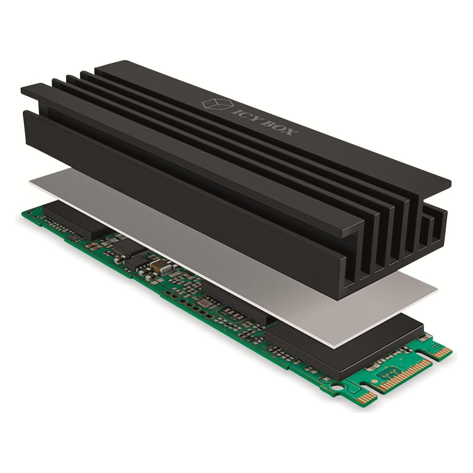 Icy Box IB-M2HS-70 (60314)