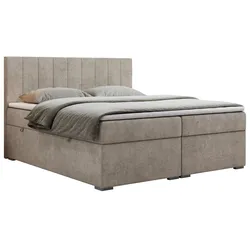 BOXBETT LOPE 180/200 - Beige Strukture - H4