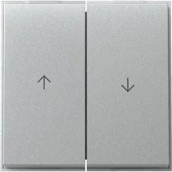 Gira Wippe 2f Pfeil 329465