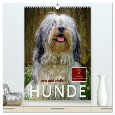 Hunde - treu und ehrlich (hochwertiger Premium Wandkalender 2027 DIN A2 hoch), Kunstdruck in Hochglanz